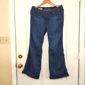 Banana Republic URBAN WIDE LEG Women's Jeans Size 8P